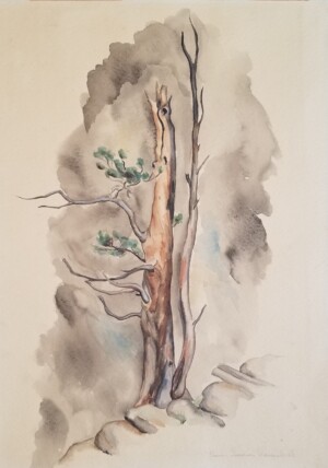 Louise Ronnebeck, watercolor on paper, undated