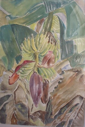 Louise Ronnebeck, Bananas, watercolor on paper, undated